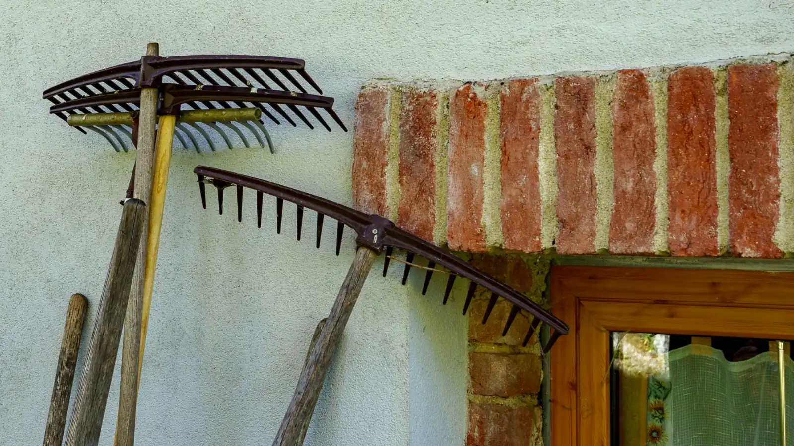Rastrillos de jardín apoyados en la pared de una casa