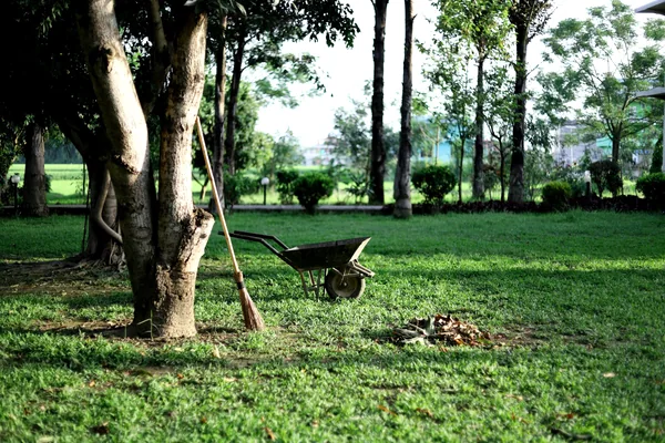Mantenimiento de jardines en Pamplona
